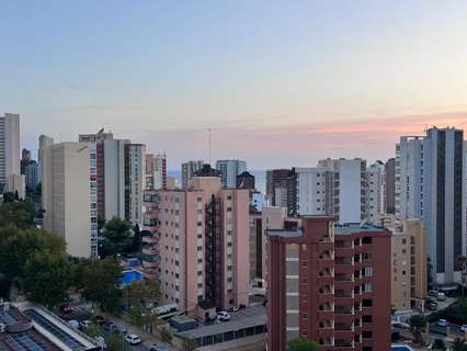 Estudio en venta en Benidorm