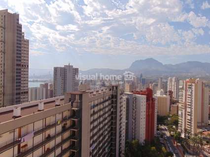 Apartamento en alquiler en Benidorm rebajado