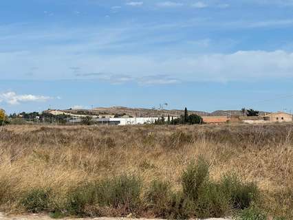 Parcela urbana en venta en Elche/Elx zona Torrellano