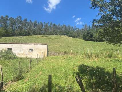 Parcela rústica en venta en Ramales de la Victoria rebajada