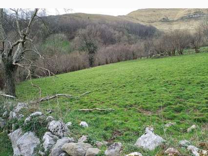 Parcela rústica en venta en Arredondo