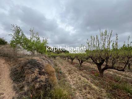 Parcela rústica en venta en Albaida