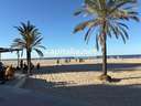 Apartamento en venta en Gandía rebajado