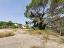 Parcela urbana en venta en Masquefa