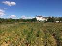 Casa rústica en venta en El Vendrell