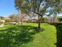 Planta baja en venta en Cunit