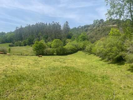 Parcela rústica en venta en Valdáliga