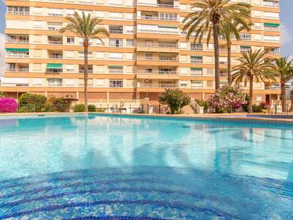 Piso en alquiler en Alicante zona Playa de San Juan rebajado