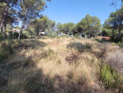 Parcela rústica en venta en Olocau