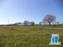 Parcela rústica en venta en Cáceres