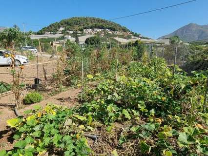 Parcela rústica en venta en La Nucía rebajada