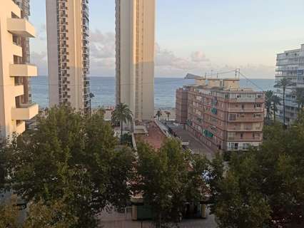 Estudio en venta en Benidorm