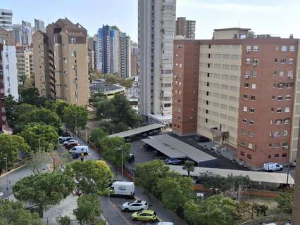 Estudio en venta en Benidorm