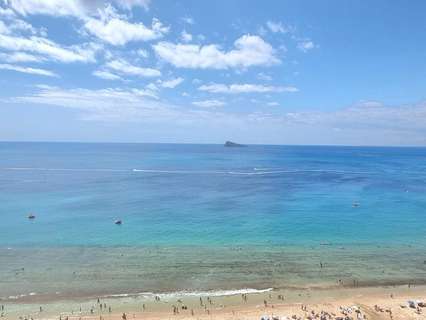 Estudio en venta en Benidorm