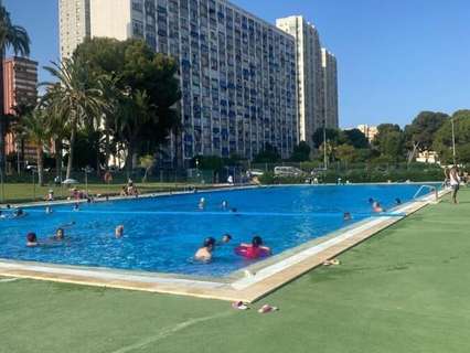 Estudio en venta en Benidorm