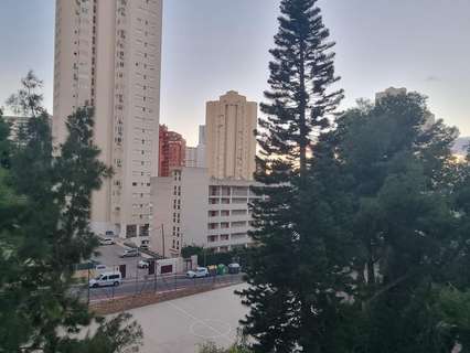 Apartamento en venta en Benidorm rebajado