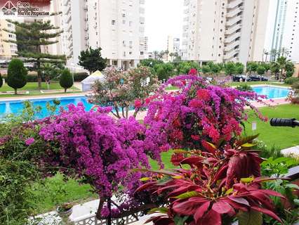 Apartamento en venta en Benidorm rebajado