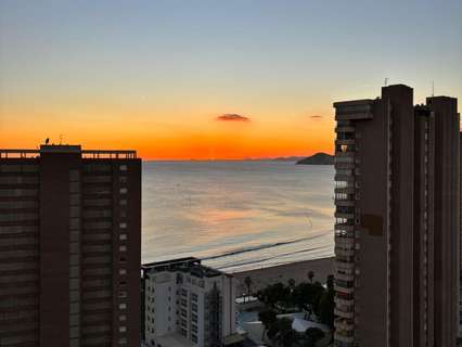 Estudio en venta en Benidorm rebajado