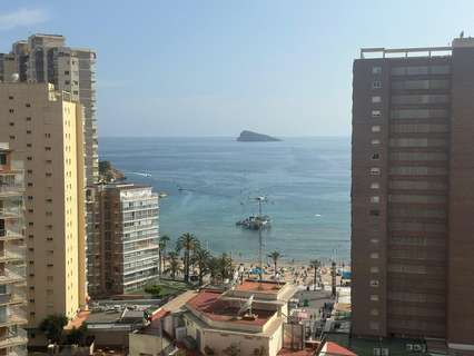 Estudio en venta en Benidorm