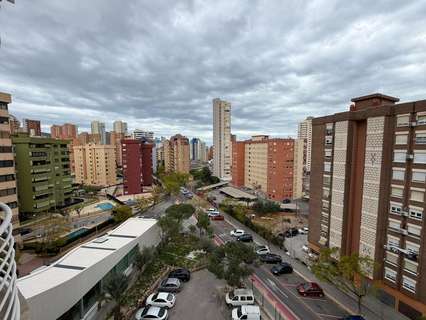 Estudio en venta en Benidorm rebajado