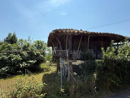 Parcela rústica en venta en Avilés rebajada