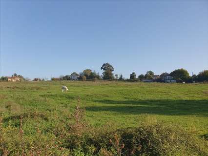 Piso en venta en Oviedo