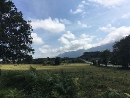 Piso en venta en Ribadesella