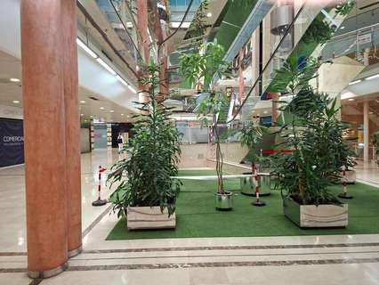 Local comercial en venta en Oviedo