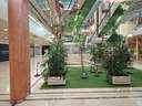 Local comercial en venta en Oviedo