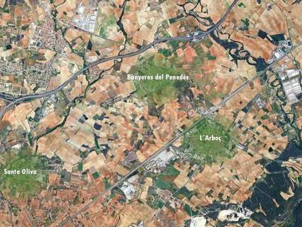Parcela rústica en venta en L'Arboç