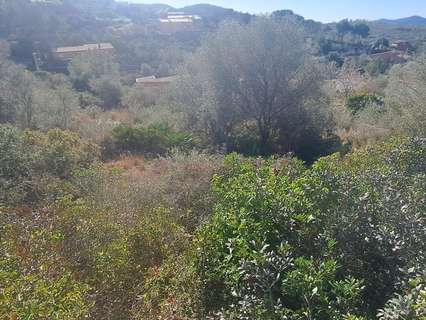 Parcela rústica en venta en Olivella