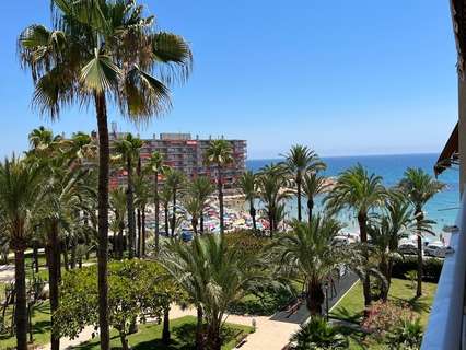 Apartamento en venta en Torrevieja