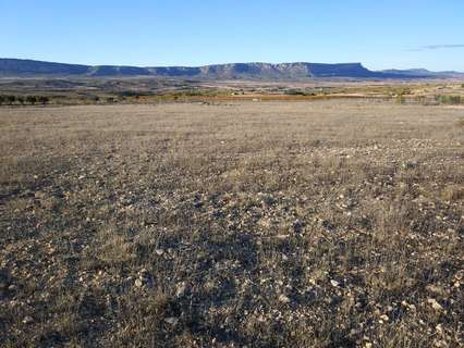 Parcela rústica en venta en Almansa