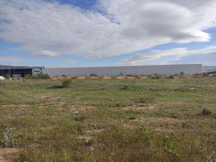 Parcela rústica en venta en Almansa