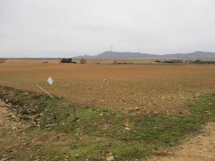 Parcela rústica en venta en Almansa