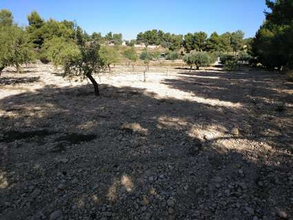 Parcela rústica en venta en Almansa