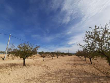 Parcela rústica en venta en Almansa