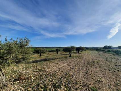 Parcela rústica en venta en Almansa