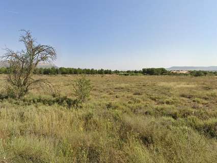 Parcela rústica en venta en Almansa rebajada