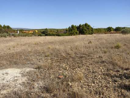 Parcela rústica en venta en Almansa