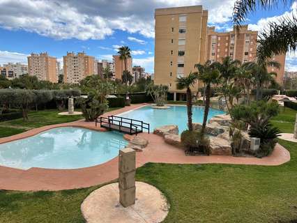 Apartamento en alquiler en Alicante rebajado