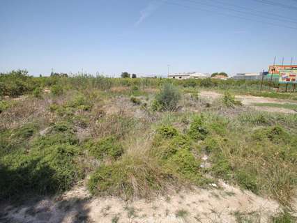 Parcela rústica en venta en Daya Nueva