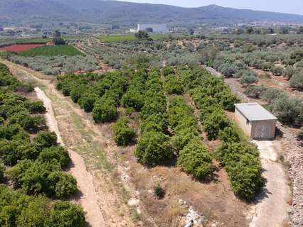 Parcela rústica en venta en Enguera