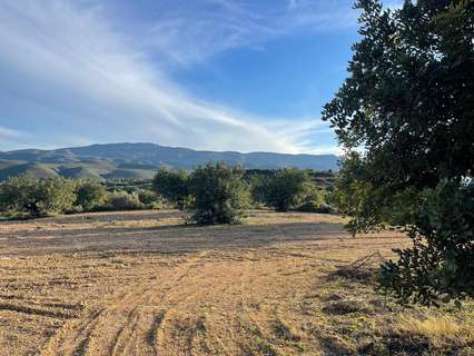 Parcela rústica en venta en Macastre