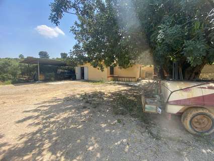 Parcela rústica en venta en Cheste