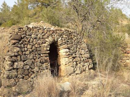 Parcela rústica en venta en Salomó