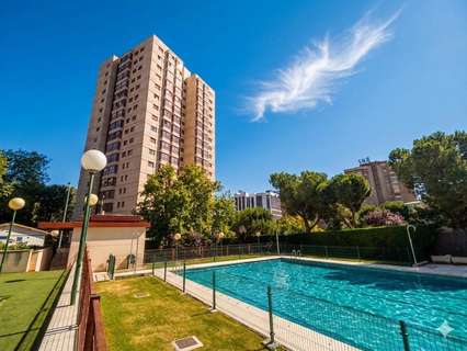 Apartamento en alquiler en Madrid