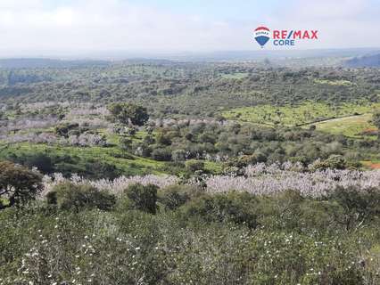 Parcela rústica en venta en Alburquerque rebajada