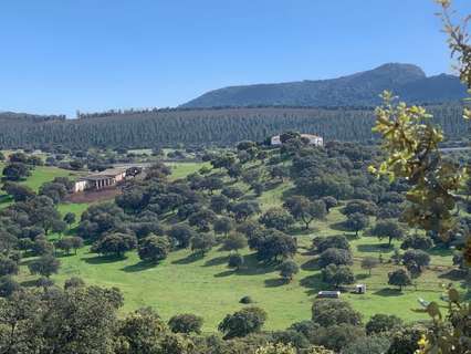 Parcela rústica en venta en Garbayuela