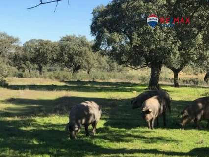 Parcela rústica en venta en Badajoz